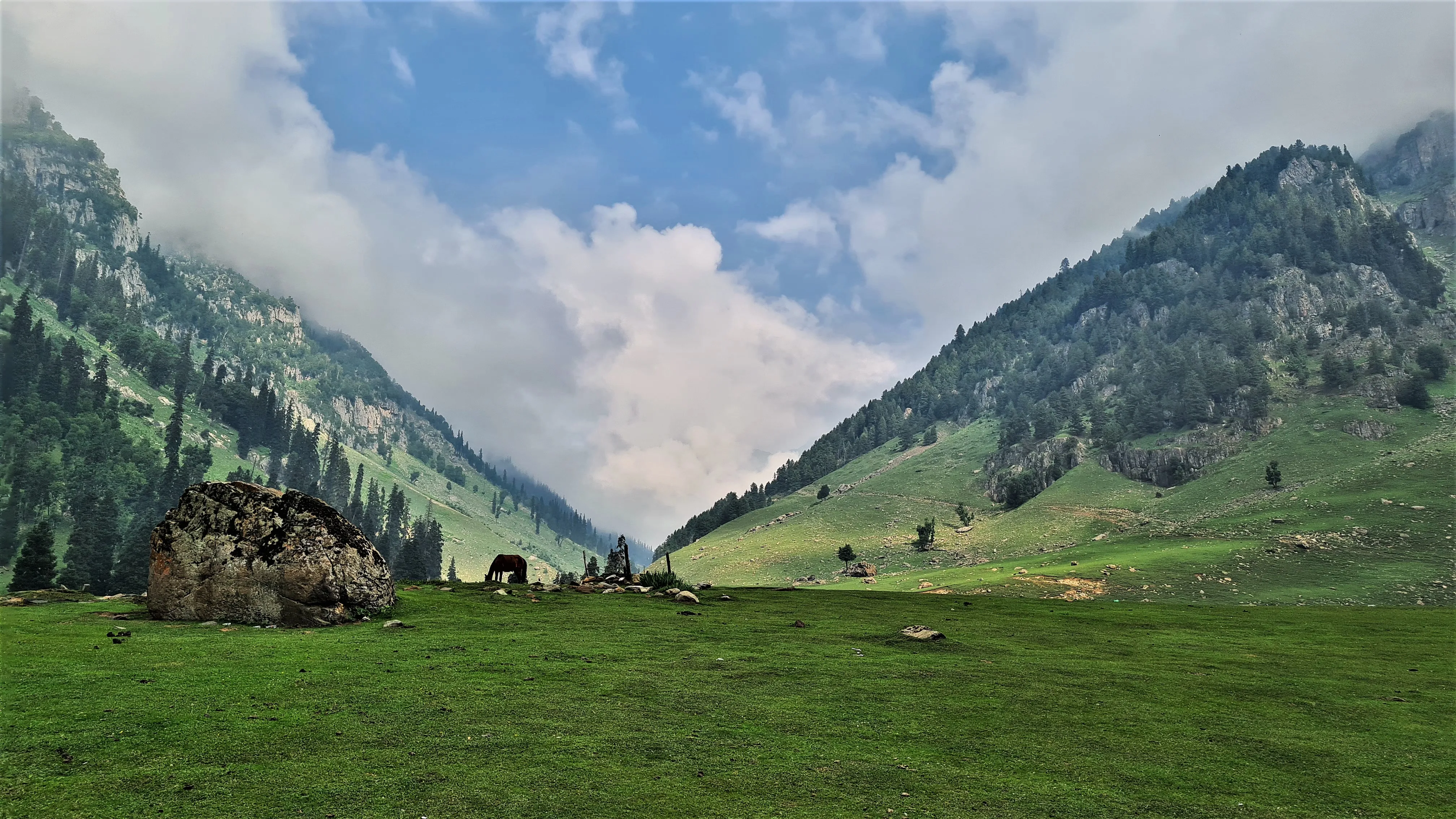 Kashmir Saffron Farming: A Masterpiece of Nature & Culture